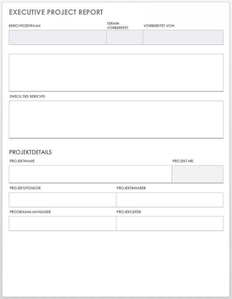 Vorlage für Executive-Projektberichte