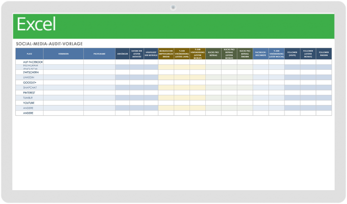 H2 Social Media Audit Template - DE