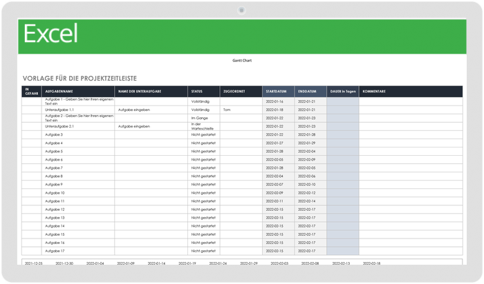 Project Timeline 49483 - DE