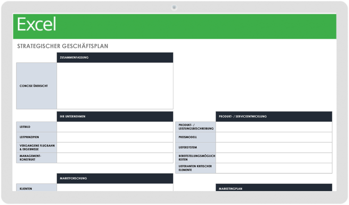 Strategic Business Plan Template 49545 - DE